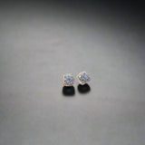 Sparkling 925 Sterling Silver Ear Studs